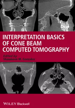 Interpretation Basics of Cone Beam Computed Tomography, Shawneen Gonzalez