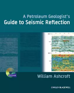 A Petroleum Geologist′s Guide to Seismic Reflection, William Ashcroft