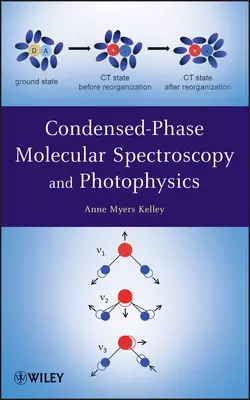 Condensed-Phase Molecular Spectroscopy and Photophysics, Anne Kelley