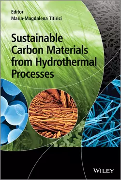 Sustainable Carbon Materials from Hydrothermal Processes, Maria-Magdalena Titirici