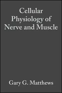 Cellular Physiology of Nerve and Muscle, Gary Matthews