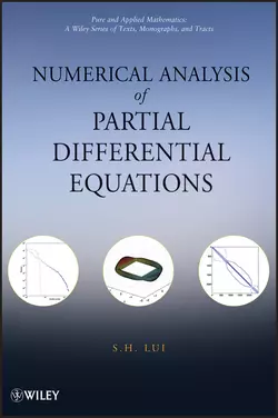 Numerical Analysis of Partial Differential Equations S. Lui