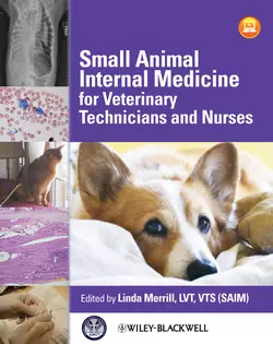 Small Animal Internal Medicine for Veterinary Technicians and Nurses, Linda Merrill