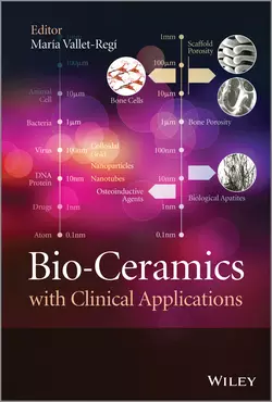 Bio-Ceramics with Clinical Applications, Maria Vallet-Regi