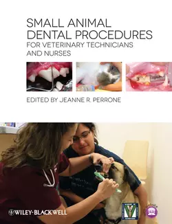 Small Animal Dental Procedures for Veterinary Technicians and Nurses, Jeanne Perrone