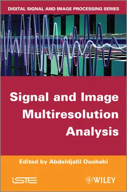 Signal and Image Multiresolution Analysis, Abdeldjalil Ouahabi