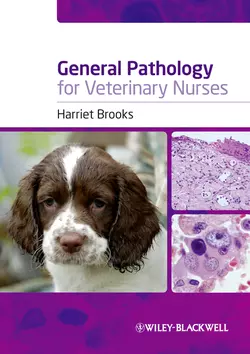 General Pathology for Veterinary Nurses, Harriet Brooks