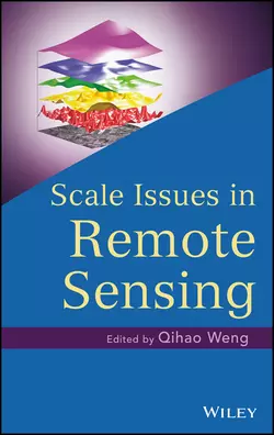 Scale Issues in Remote Sensing, Qihao Weng