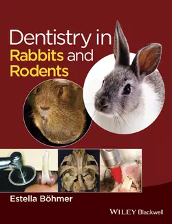 Dentistry in Rabbits and Rodents, Estella Böhmer