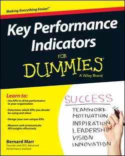 Key Performance Indicators For Dummies, Бернард Марр