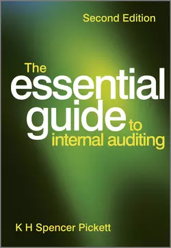 The Essential Guide to Internal Auditing, K. H. Spencer Pickett