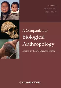 A Companion to Biological Anthropology Clark Larsen