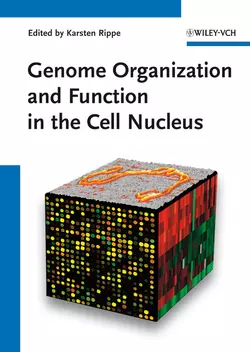 Genome Organization And Function In The Cell Nucleus, Karsten Rippe