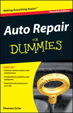 Auto Repair For Dummies, Deanna Sclar