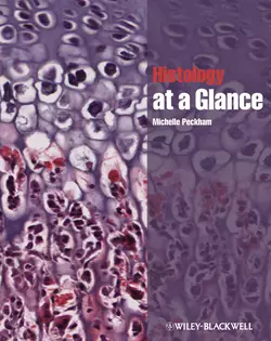 Histology at a Glance, Michelle Peckham