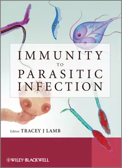 Immunity to Parasitic Infection Tracey Lamb