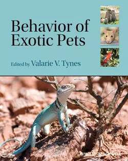 Behavior of Exotic Pets, Valarie Tynes