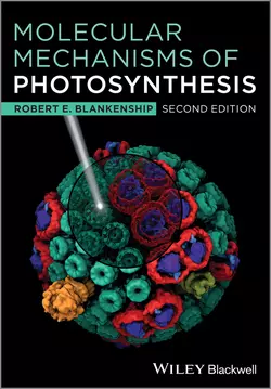 Molecular Mechanisms of Photosynthesis, Robert Blankenship