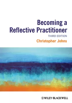 Becoming a Reflective Practitioner, Christopher Johns