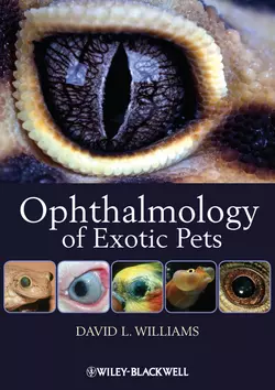 Ophthalmology of Exotic Pets, David Williams