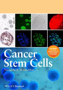 Cancer Stem Cells, Vinagolu Rajasekhar