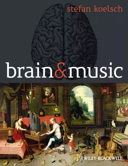 Brain and Music, Stefan Koelsch