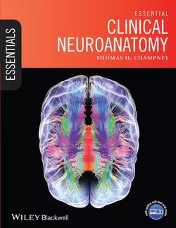 Essential Clinical Neuroanatomy, Thomas Champney