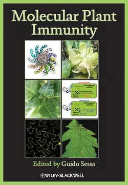 Molecular Plant Immunity, Guido Sessa