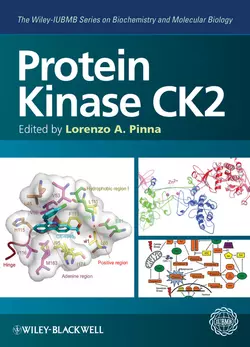 Protein Kinase CK2, Lorenzo Pinna