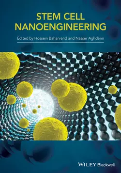 Stem Cell Nanoengineering, H. Baharvand