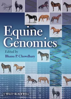 Equine Genomics, Bhanu Chowdhary