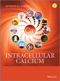 Intracellular Calcium, Anthony Campbell