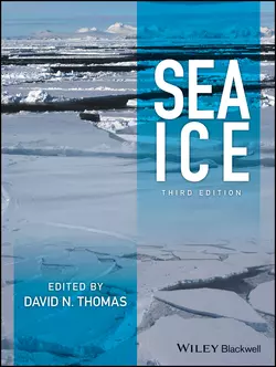 Sea Ice, David N. Thomas