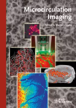 Microcirculation Imaging, Martin Leahy