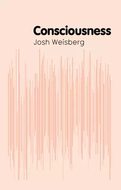 Consciousness, Josh Weisberg