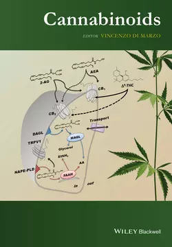 Cannabinoids Vincenzo Marzo