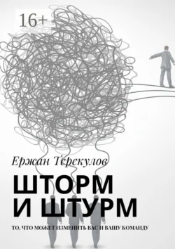 Шторм и штурм. То, что может изменить вас и вашу команду, Ержан Терекулов