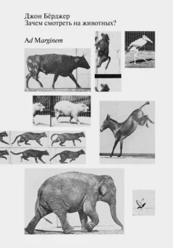 Зачем смотреть на животных? Джон Бёрджер