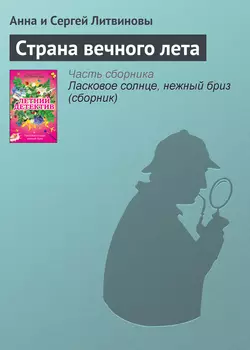 Страна вечного лета, Анна и Сергей Литвиновы