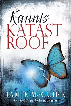 Kaunis katastroof, Jamie Mcguire