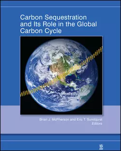 Carbon Sequestration and Its Role in the Global Carbon Cycle, Sundquist Eric