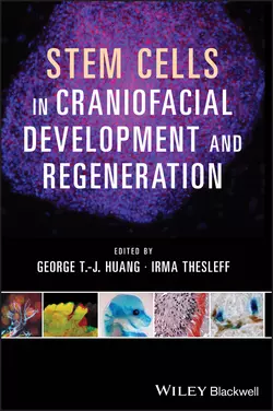 Stem Cells in Craniofacial Development and Regeneration, Thesleff Irma