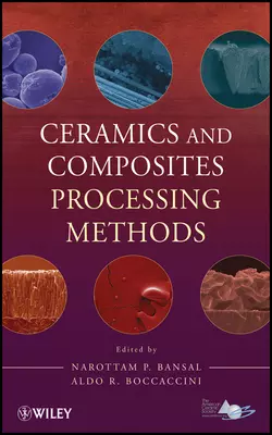 Ceramics and Composites Processing Methods, Boccaccini Aldo