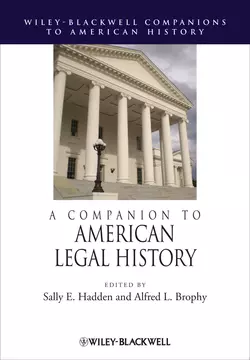 A Companion to American Legal History, Brophy Alfred