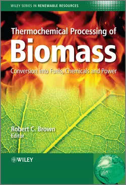 Thermochemical Processing of Biomass. Conversion into Fuels, Chemicals and Power, Stevens Christian