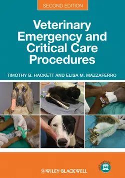 Veterinary Emergency and Critical Care Procedures, Enhanced Edition, Hackett Timothy