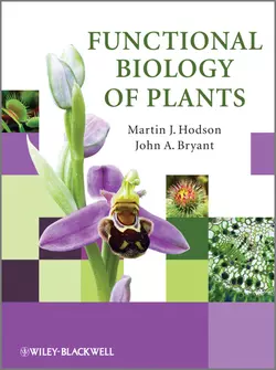 Functional Biology of Plants, John A. Bryant