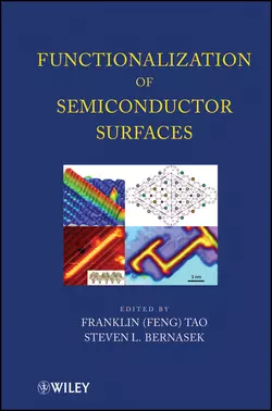 Functionalization of Semiconductor Surfaces, Tao Franklin