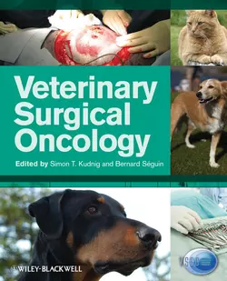 Veterinary Surgical Oncology, Séguin Bernard