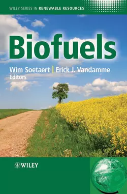 Biofuels, Vandamme Erick